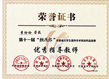 全国讲课比赛二等奖