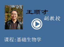 教学视频六