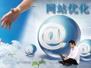 是什么原因导致了我们网站快照的回滚