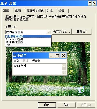 windows xp主题突然不见了